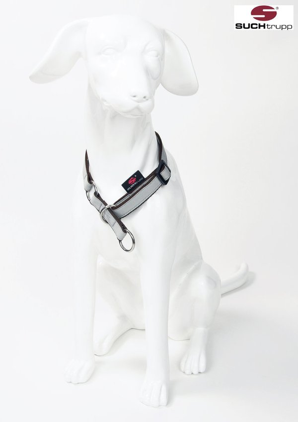 Schlupfhalsband, Stopp-Hundehalsband PURE LIGHT-GREY small