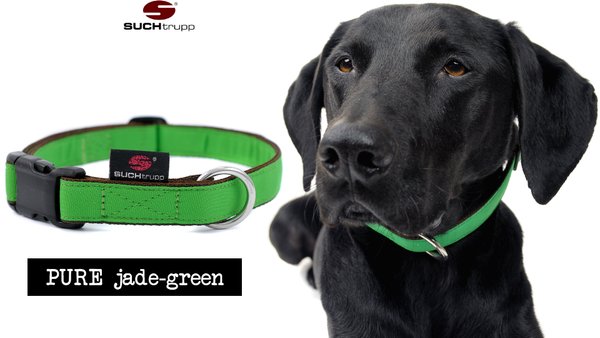 Hundehalsband PURE JADE-GREEN medium, Hundehalsbänder