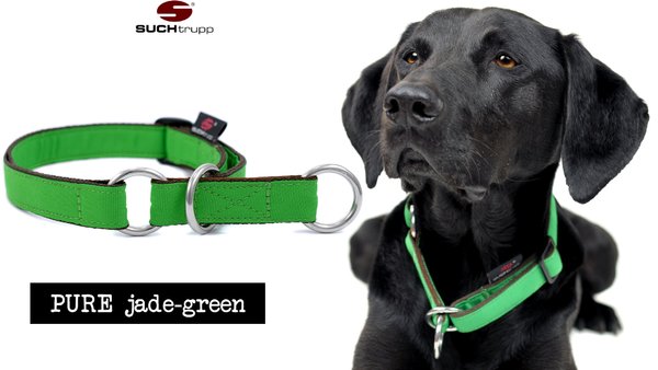 Schlupfhalsband, Stopp-Hundehalsband PURE JADE-GREEN medium
