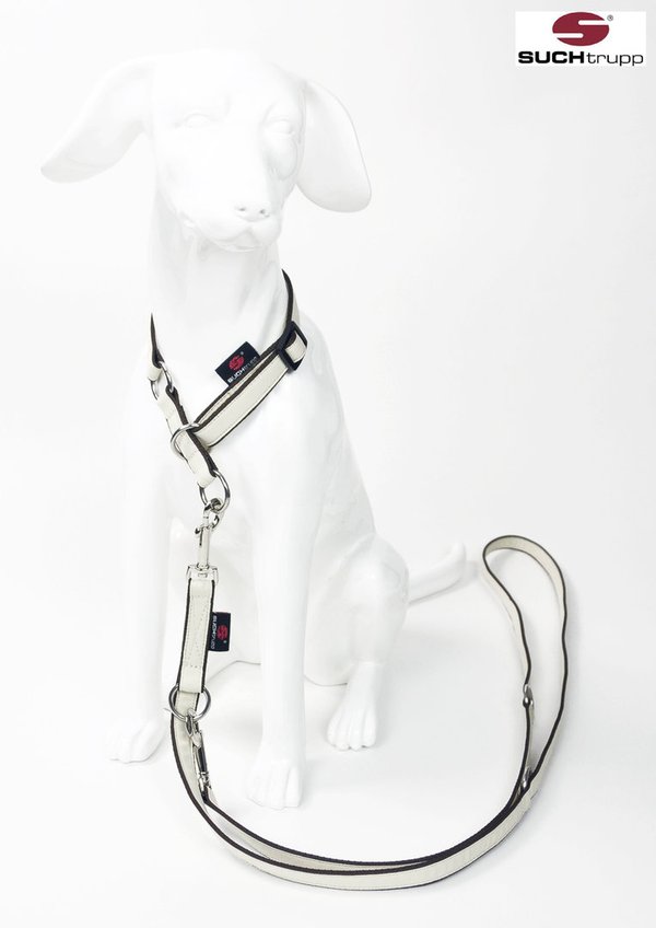 Schlupfhalsband, Stopp-Hundehalsband PURE CREAM small