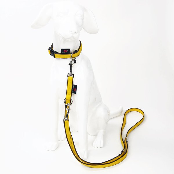 Hundehalsband PURE LIGHT-YELLOW, schönste Hundehalsbänder kleine Hunde & Welpen, zitronengelb