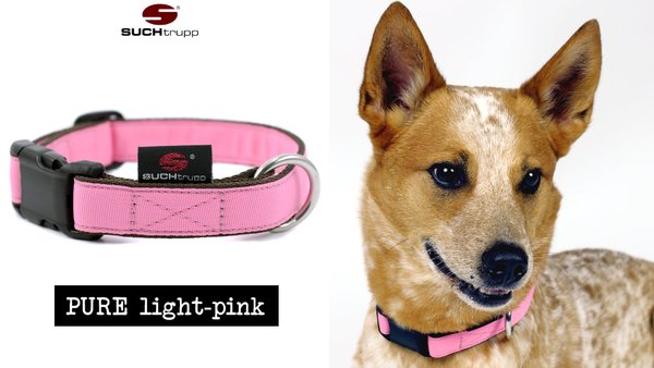 Hundehalsband PURE LIGHT-PINK large, Hundehalsbänder