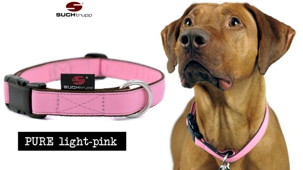 Hundehalsband PURE LIGHT-PINK large, Hundehalsbänder