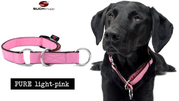 Schlupfhalsband, Stopp-Hundehalsband PURE LIGHT-PINK large