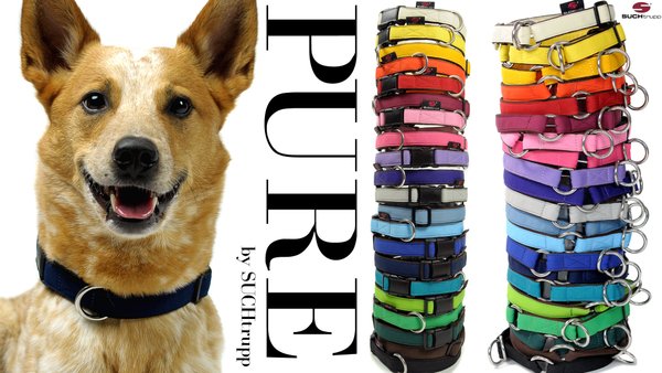 Hundehalsband PURE BRITISH RACING GREEN medium, Hundehalsbänder