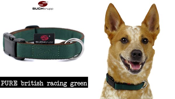Hundehalsband PURE BRITISH RACING GREEN medium, Hundehalsbänder