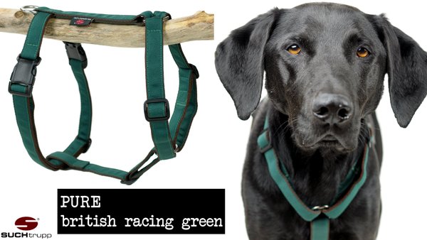Hundegeschirr, Brustgeschirr PURE BRITISH RACING GREEN large