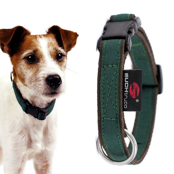 Hundehalsband small PURE BRITISH RACING GREEN, stilvolle Halsbänder kleine Hunde, Welpen, dunkelgrün