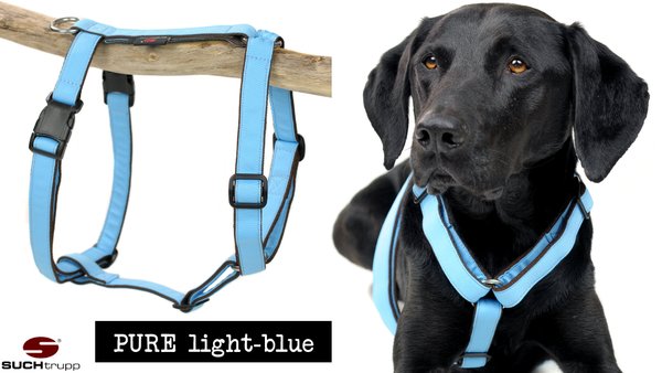 Hundegeschirr, Brustgeschirr PURE LIGHT-BLUE large