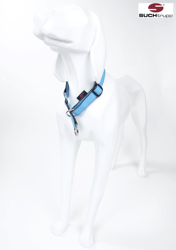 Schlupfhalsband, Stopp-Hundehalsband PURE LIGHT-BLUE medium