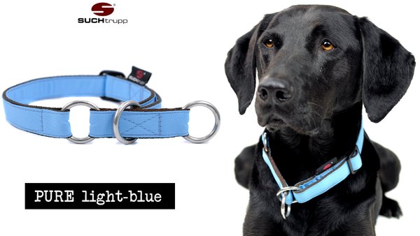 Schlupfhalsband, Stopp-Hundehalsband PURE LIGHT-BLUE large