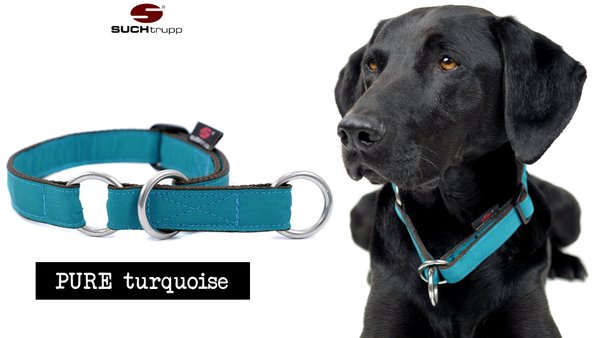 Schlupfhalsband, Stopp-Hundehalsband PURE TURQUOISE medium