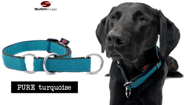 Schlupfhalsband, Stopp-Hundehalsband PURE TURQUOISE large