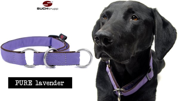 Schlupfhalsband, Stopp-Hundehalsband PURE LAVENDER medium