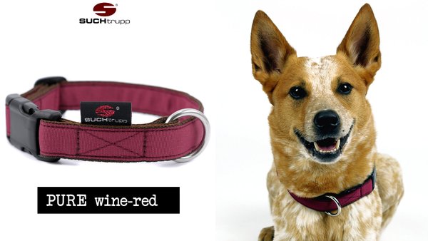 Hundehalsband PURE WINE-RED medium, Hundehalsbänder