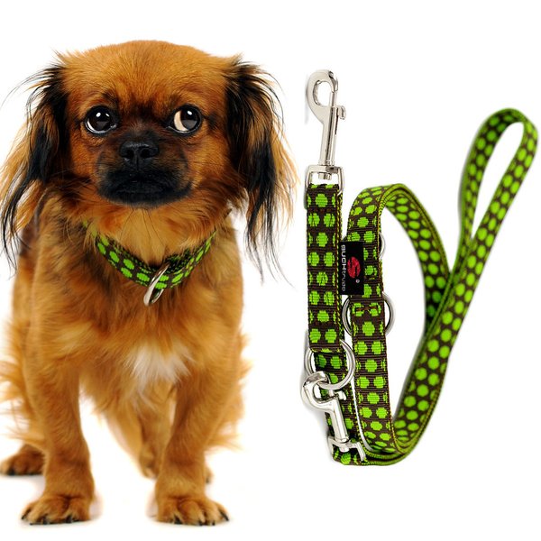 Stylische Leine 2m oder 2,5m lang kleine Hunde, Welpen, DOTS BROWN-LIMEGREEN small, braun & grün.