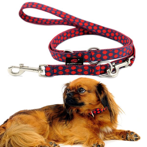 Beste Hundeleine kleine Hunde, 2m oder 2,5m, DOTS DARKBLUE-RED small, Führleine, blau&rot gepunktet.