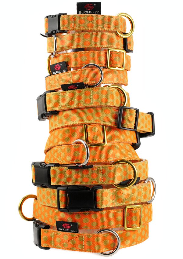 Hundehalsband DOTS ORANGE-BEIGE large, Hundehalsbänder, Luxus mit Messing, große Hunde