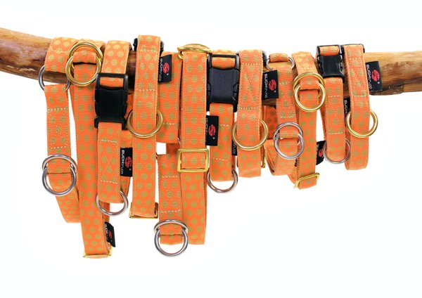 Hundehalsband DOTS ORANGE-BEIGE large, außergewöhnliche Hundehalsbänder große Hunde, orange & beige