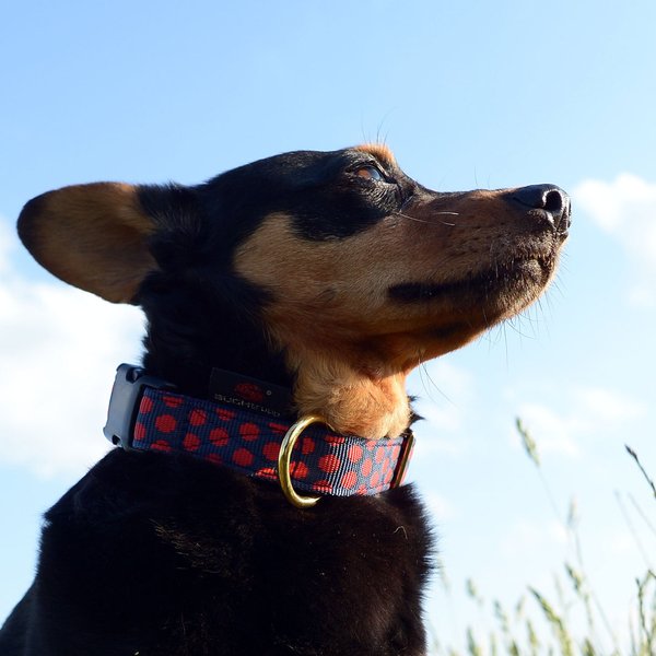 Hundehalsband DOTS DARKBLUE-RED medium, perfekte Hundehalsbänder