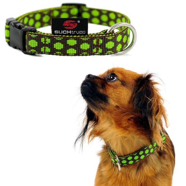 Hundehalsband DOTS BROWN-LIMEGREEN small, coole Hundehalsbänder schokobraun mit grünen Punkten