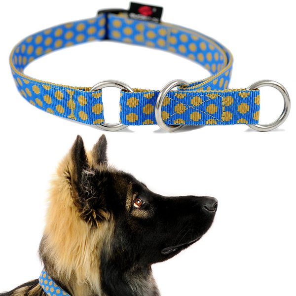 Bestes Schlupfhalsband, ausgefallenes Zugstopp-Hundehalsband, DOTS ROYALBLUE-BEIGE large, gepunktet