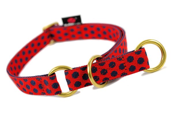 Design-Schlupfhalsband, beste Zugstopp Hundehalsbänder, DOTS RED-DARKBLUE large, rot-blau gepunktet.