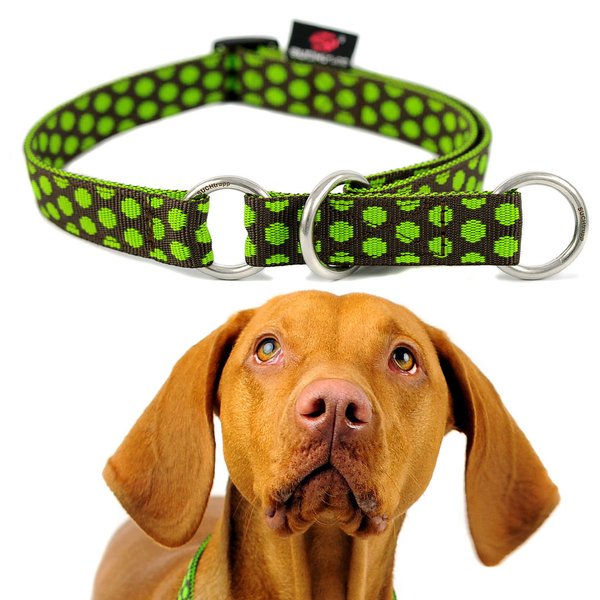 Schlupfhalsband, trendy Hundehalsband mit Zugstopp, DOTS BROWN-LIMEGREEN large, braun-grün gepunktet