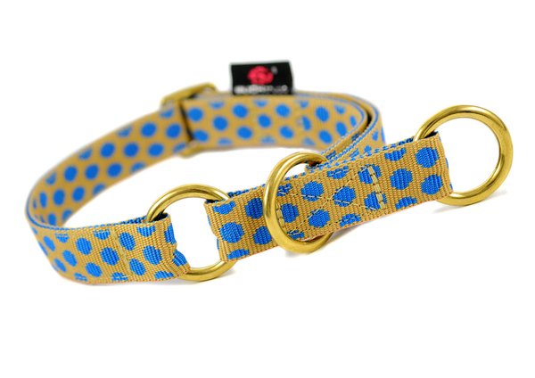 Schlupfhalsband, schönes Zugstopp Hundehalsband, DOTS BEIGE-ROYALBLUE medium, beige-blau gepunktet