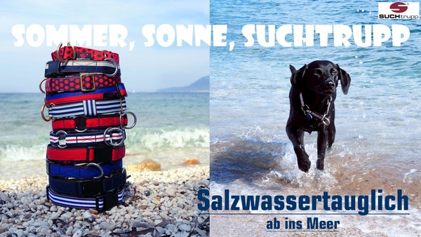 hundehalsband-stylische-maritime-hundehalsbänder-salzwassertauglich-hochwertige-verarbeitung-blau-und-rot-suchtrupp