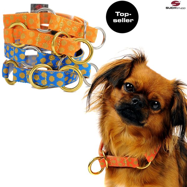 Zugstopp-Hundehalsbänder, Schlupfhalsband, SUCHtrupp